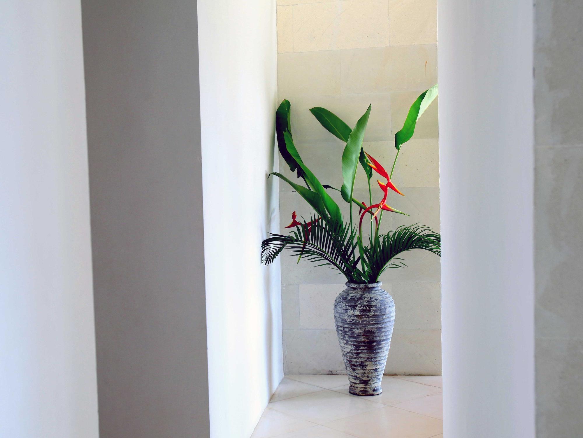 Jeda Villa Modern Stylish Luxury Villa Pemuteran  Ngoại thất bức ảnh