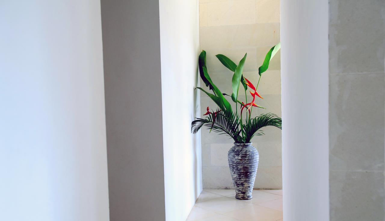 Jeda Villa Modern Stylish Luxury Villa Pemuteran  Ngoại thất bức ảnh